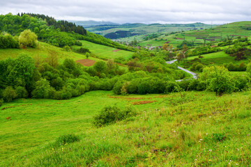 Obraz premium rural valley of ukrainian countryside in spring. green carpathian scenery with grassy meadows and forested hills on a rainy day