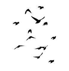Flying birds silhouette flock. hand drawing. Not AI, Vector illustration