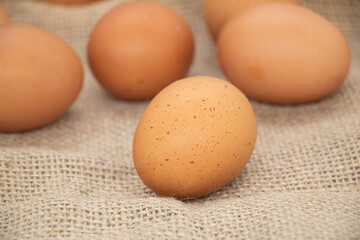 Eggs, Group of chicken eggs, Hen / chicken eggs.