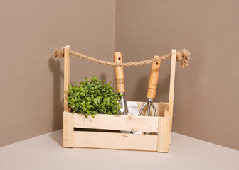 Wooden box with gardening tools. Harvesting.