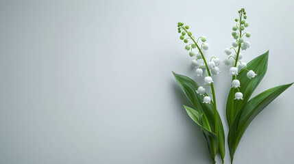 Lily Of Valley Background, A Spring Themed Background. May, Nature and Mother's Day Background