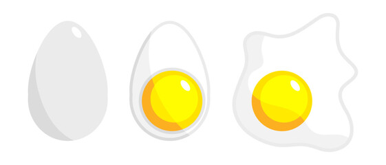 Egg in shell. An egg cut in half. Fried eggs. Chicken egg illustration. Vector isolated on white background.