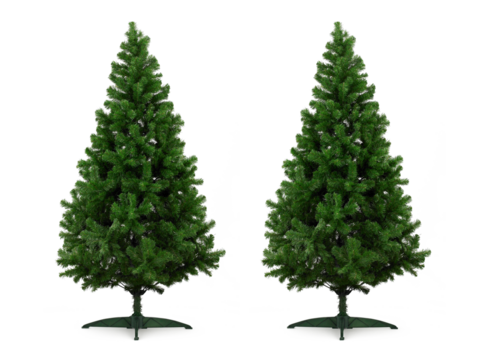 Real Christmas tree, transparent background