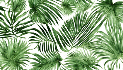 Tropical Elegance: Collection of Palm Leaf Patterns Isolated on White Background
