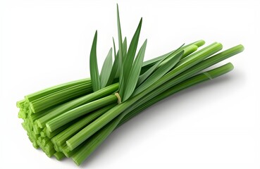 Green onion fresh chives isolated