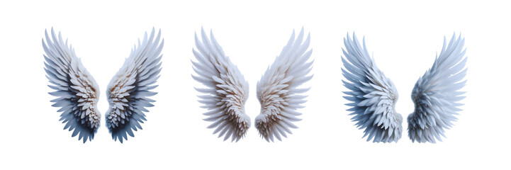 Obraz premium Set of white wings, illustration, isolated over on transparent white background