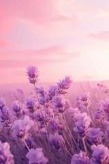 Gordijnen Lavender flowers against a beautiful pink sunset background © Evgeniya Fedorova