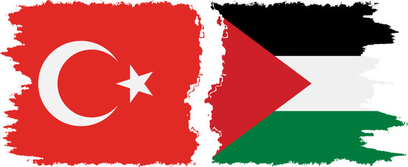 Palestine and Turkey grunge flags connection vector