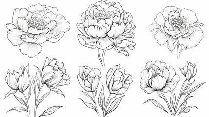 Set of hand drawn peony flowers isolated on white background,  Generative AI illustrations. - obrazy, fototapety, plakaty