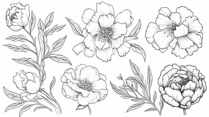 Set of peony flowers and leaves, Hand drawn botanical vector illustration, Generative AI illustrations. - obrazy, fototapety, plakaty
