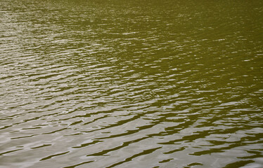 The texture of dark river water under the influence of wind, imprinted in perspective. Horizontal image