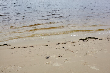 Water's edge on the shore. Wave of blue sea on sandy beach. Beautiful background with water ripples on the beach