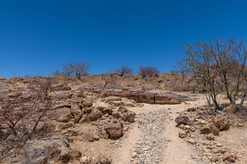 Petrified and mineralized tree trunks, Khorixas, Damaraland, Namibia