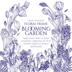 Vector illustration of spring flowers primroses. Snowdrops, crocuses, brunnera, tulips, muscari, hyacinths, irises in engraving style - obrazy, fototapety, plakaty