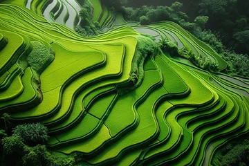 Foto op Canvas View from Above of a Terraced Rice Field in Bandung,  Indonesia, Asia © Ruwan