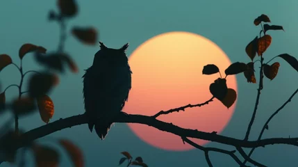 Fototapeten silhouette of an owl on a branch at sunset © Ankit