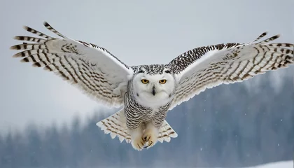 Photo sur Plexiglas Harfang des neiges Elegance of a snowy owl in flight, its outstretched wings spanning the frame with meticulous precision, each feather meticulously rendered to convey its silent grace against a wintry landscape