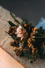 dried rose flower