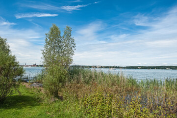 Schilfg&uuml;rtel am Bodensee