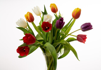 Bunch of Multi-Coloured Spring Tulips in a Vase on a White Background