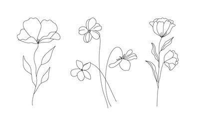 Hand drawn wild field flora, flowers, leaves, herbs, plants, branches. Minimal floral botanical line art. Vector illustration for logo or tattoo, invitations, save the date card.
