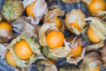 Close up of organic cape gooseberries fruit. Healthy food.