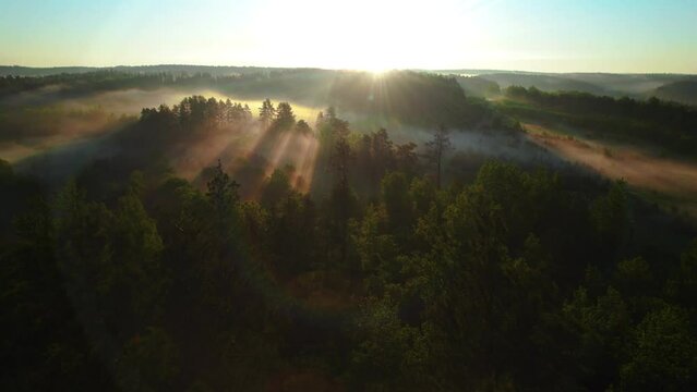 Aerial view of sunrise in misty forest. Golden sunset in a hilly area. Flying over a valley of green trees. Morning fog, sun rising above the horizon. Picturesque natural landscape. 4k footage