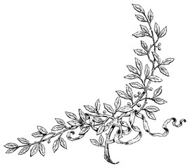 Hand drawing of laurel branches with ribbon, black and white vector illustration isolated on white - obrazy, fototapety, plakaty