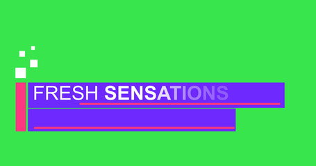 Fresh sensations breaking news TV broadcast lower third infographic. Today Headlines news channel asset displaying fresh sensations. Flash multimedia news header banner animation element.