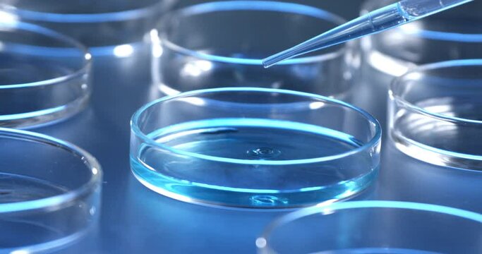 Super slow motion close up of dripping drop of DNA sample substance molecules being added by scientist to petri dish during biochemical analysis of experimental data research in laboratory at 1000 fps