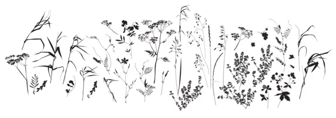 Fotobehang Field flowers and grasses, line drawing. Vector illustration  © Дарья Березина