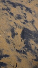 Beautiful sand pattern formed by yellow and black grains in muttom beach