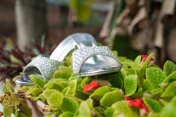 two silver sandals in the top of a plant
