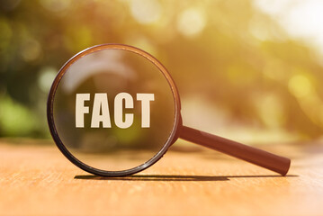 Fact Business Marketing Strategy Text Word written through a magnifying glass on a nature background