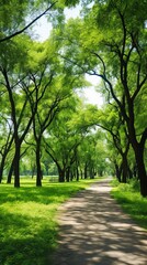 The path through the park is surrounded by lush green trees.