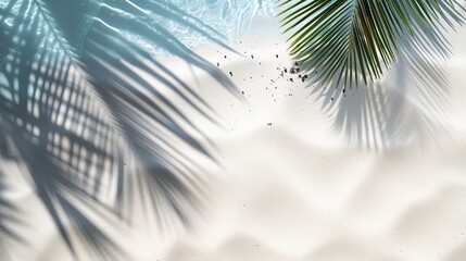 Palm leaves shadow on white sand beach with copy space for your text