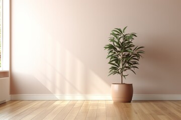 Fototapeta na wymiar Sunlight shining through the window onto a potted plant in an empty room