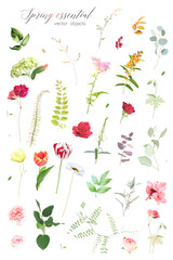 Red rose, green hydrangea, bright tulips, carnation, ranunculus, spring garden flowers, eucalyptus, greenery, fern