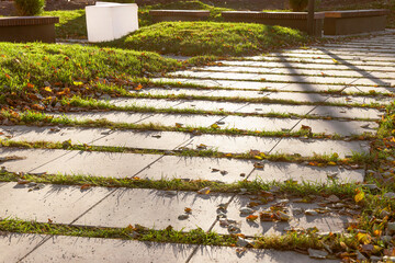 A path in a park with alternating slabs and grass. Selective focus.