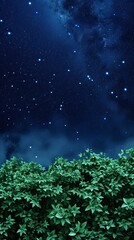Fototapeta na wymiar Night sky full of stars with dark blue background and green bushes in the foreground