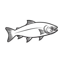 atlantic salmon fish  vector illustration isolated transparent background logo, cut out or cutout t-shirt print design
