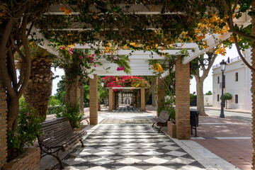 Fototapeta na wymiar Balcon de Maro, Andalusia, Spain. Urban Garden. Pergola Climbing Plants.