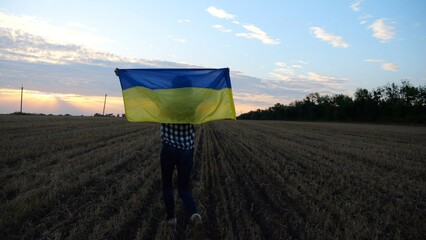 Ukrainian lady walking with national blue-yellow banner on barley meadow at sunrise. Woman going...