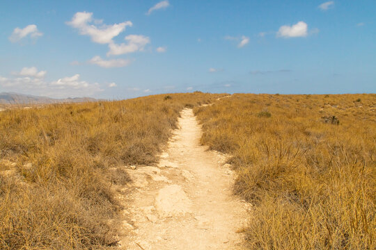 Ruta de senderismo entre pastos secos en medio de un paisaje semides&eacute;rtico. Sendero Agua Amarga hasta Cala Enmedio en N&iacute;jar, Almer&iacute;a, Espa&ntilde;a.