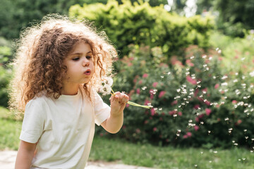 little girl blowing on dandelion with a focused expression, surrounded by greenery in a Sunlit Garden - 738170628