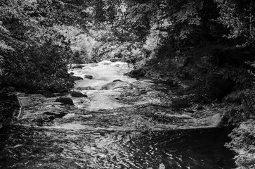 Torrente 
