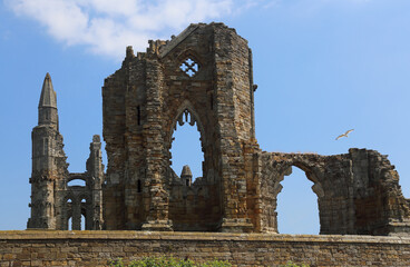 Ruin of Whitby Abbey - 738174080