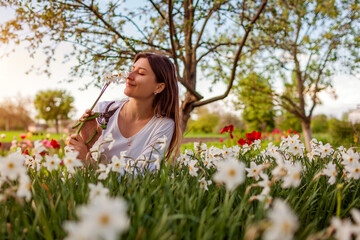 Young gardener picks daffodil flowers in spring garden. Happy woman smelling narcissus blooms cut with pruner. Gardening