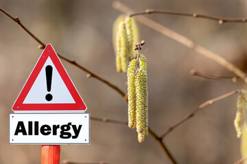 Sign with warning pollen allergy