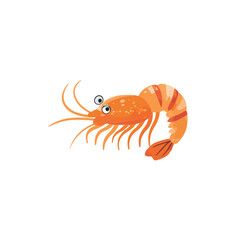 Sea vector illustration funny shrimp with eyes, sea creature on white background for sticker, print, poster, postcard